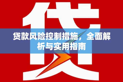 芒市贷款风险控制措施，全面解析与实用指南