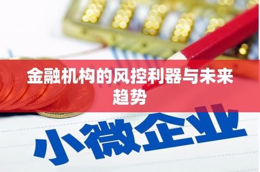 芒市金融机构的风控利器与未来趋势