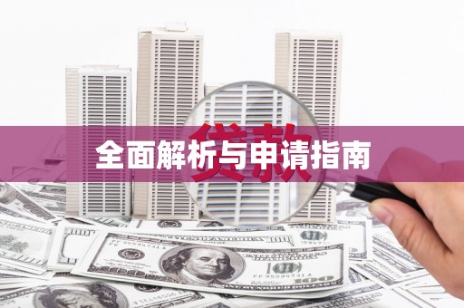 芒市全面解析与申请指南
