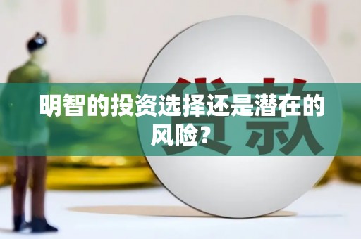 芒市明智的投资选择还是潜在的风险？