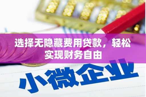 芒市选择无隐藏费用贷款，轻松实现财务自由