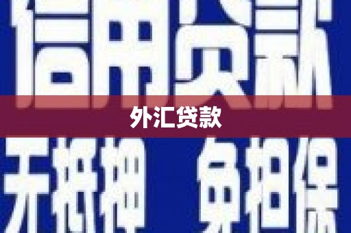 芒市外汇贷款