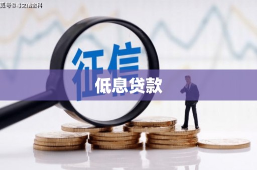 芒市低息贷款