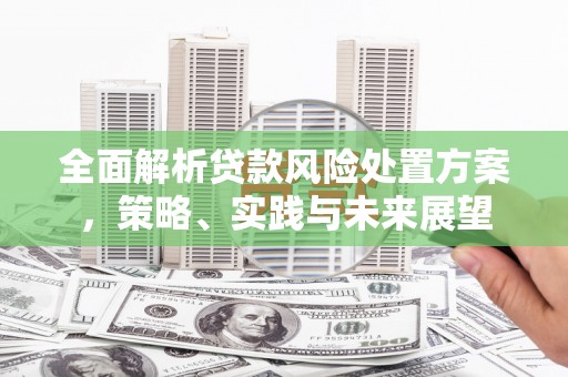 芒市全面解析贷款风险处置方案，策略、实践与未来展望