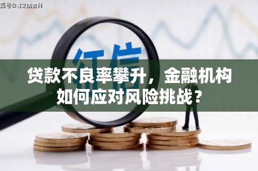 芒市贷款不良率攀升，金融机构如何应对风险挑战？
