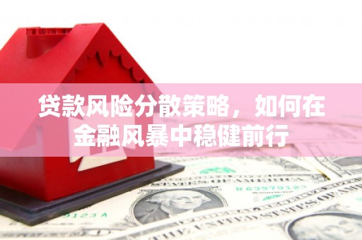 芒市贷款风险分散策略，如何在金融风暴中稳健前行