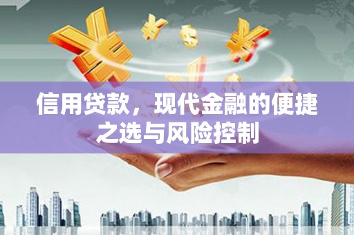 芒市信用贷款，现代金融的便捷之选与风险控制