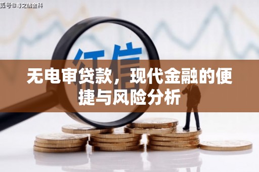 芒市无电审贷款，现代金融的便捷与风险分析