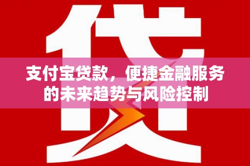 芒市支付宝贷款，便捷金融服务的未来趋势与风险控制
