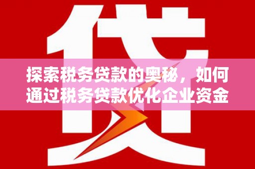 芒市探索税务贷款的奥秘，如何通过税务贷款优化企业资金流