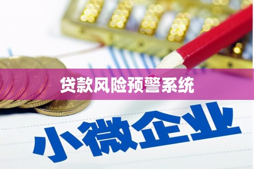 芒市贷款风险预警系统