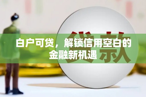 芒市白户可贷，解锁信用空白的金融新机遇