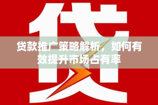 芒市贷款推广策略解析，如何有效提升市场占有率
