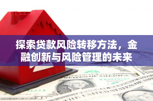 芒市探索贷款风险转移方法，金融创新与风险管理的未来