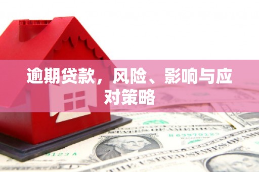 芒市逾期贷款，风险、影响与应对策略