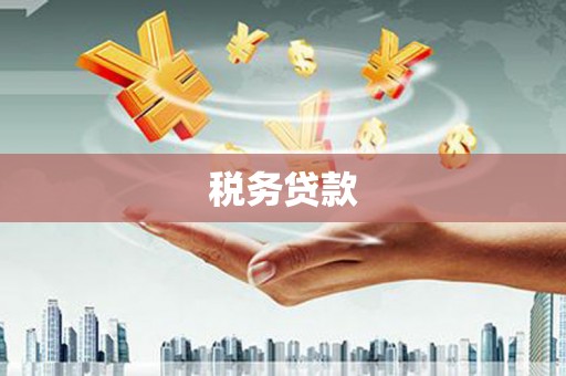 芒市税务贷款