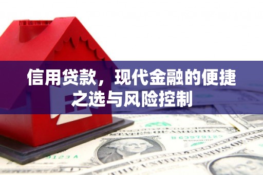 芒市信用贷款，现代金融的便捷之选与风险控制