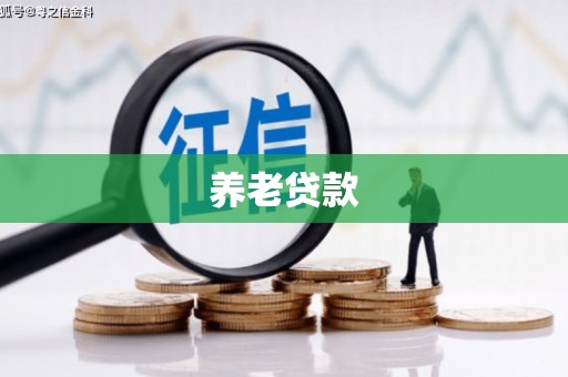 芒市养老贷款
