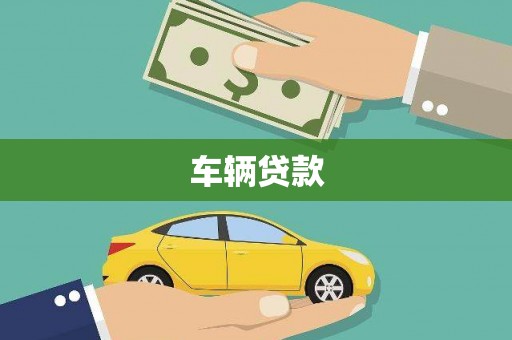 芒市车辆贷款