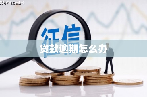 芒市贷款逾期怎么办