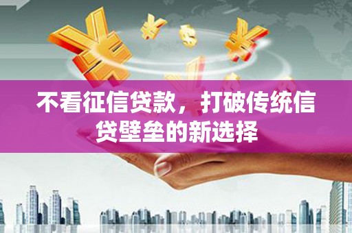 芒市不看征信贷款，打破传统信贷壁垒的新选择