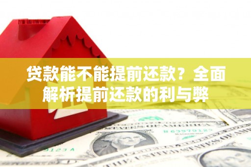 芒市贷款能不能提前还款？全面解析提前还款的利与弊