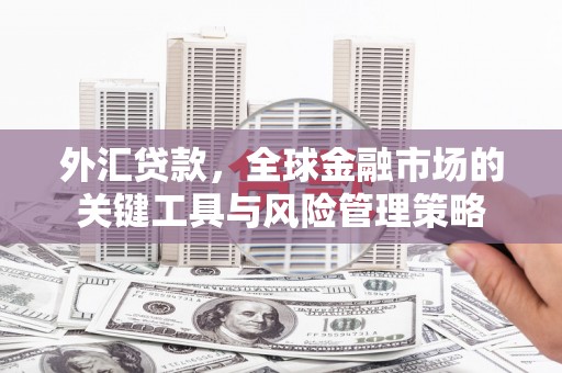 芒市外汇贷款，全球金融市场的关键工具与风险管理策略