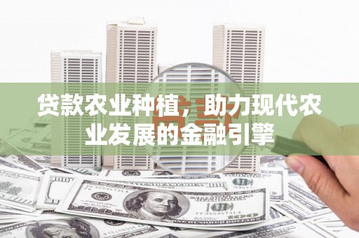 芒市贷款农业种植，助力现代农业发展的金融引擎