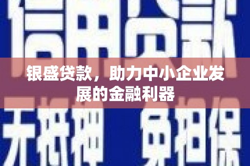 芒市银盛贷款，助力中小企业发展的金融利器