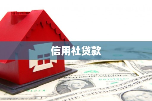 芒市信用社贷款