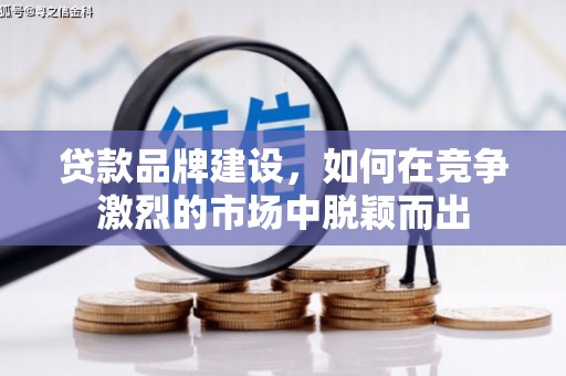 芒市贷款品牌建设，如何在竞争激烈的市场中脱颖而出