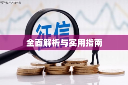 芒市全面解析与实用指南