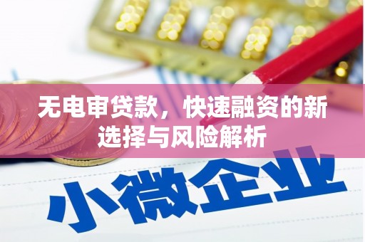 芒市无电审贷款，快速融资的新选择与风险解析