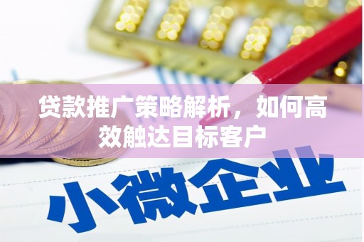芒市贷款推广策略解析，如何高效触达目标客户