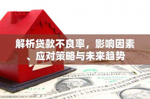 芒市解析贷款不良率，影响因素、应对策略与未来趋势