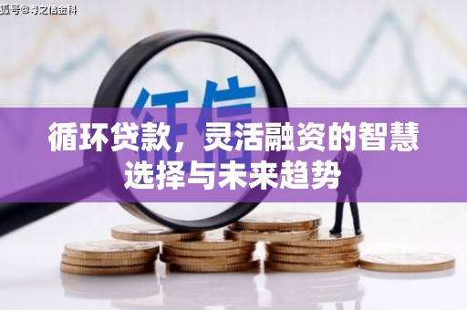 芒市循环贷款，灵活融资的智慧选择与未来趋势