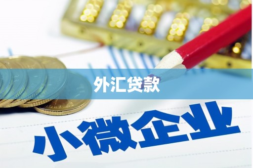 芒市外汇贷款