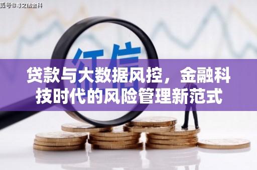 芒市贷款与大数据风控，金融科技时代的风险管理新范式