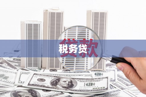 芒市税务贷