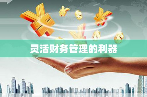 芒市灵活财务管理的利器