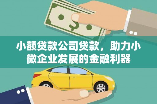 芒市小额贷款公司贷款，助力小微企业发展的金融利器
