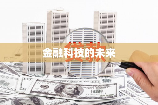 芒市金融科技的未来