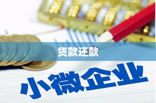 芒市贷款还款