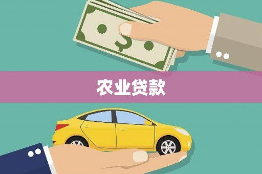 芒市农业贷款