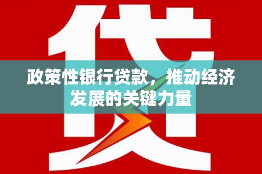 芒市政策性银行贷款，推动经济发展的关键力量