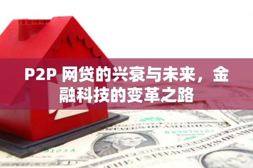 芒市P2P 网贷的兴衰与未来，金融科技的变革之路