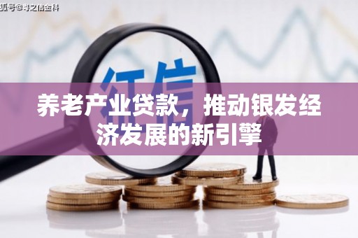 芒市养老产业贷款，推动银发经济发展的新引擎