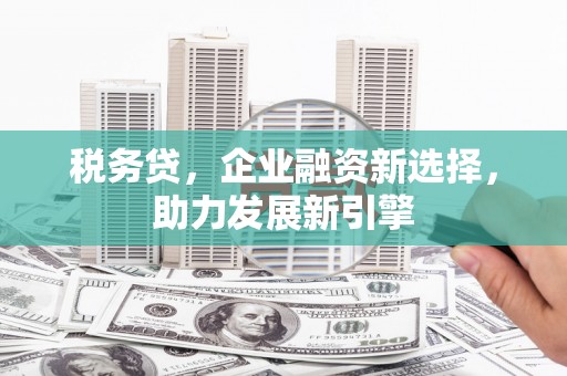 芒市税务贷，企业融资新选择，助力发展新引擎