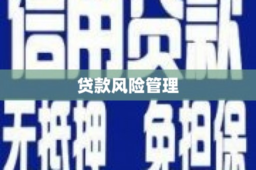 芒市贷款风险管理