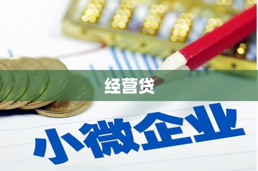 芒市经营贷